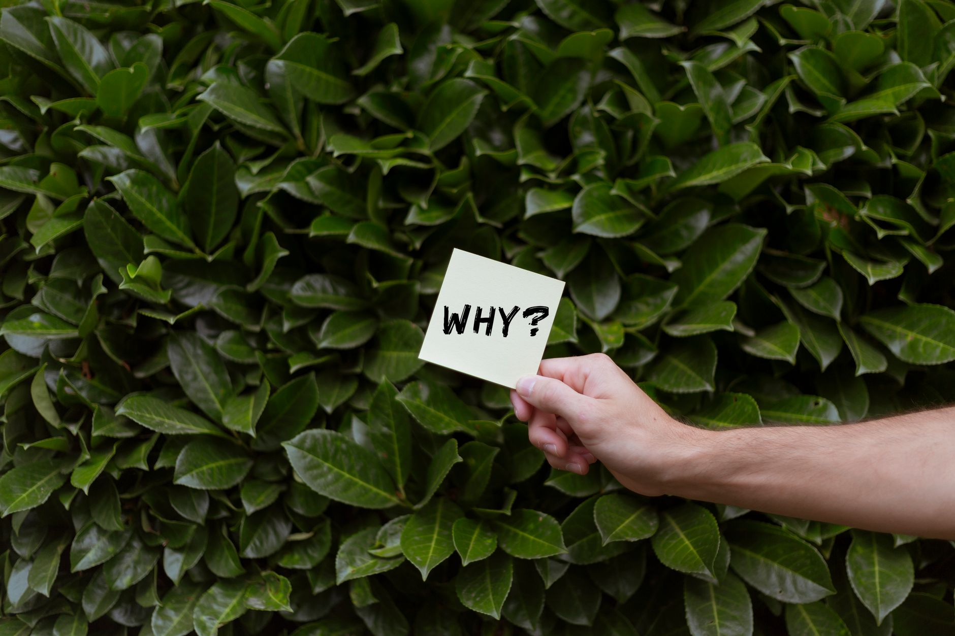 Why does market structure break down — and what does a structural shift mean?